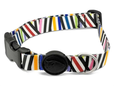 Morso collar dog recycled spaghetti incident