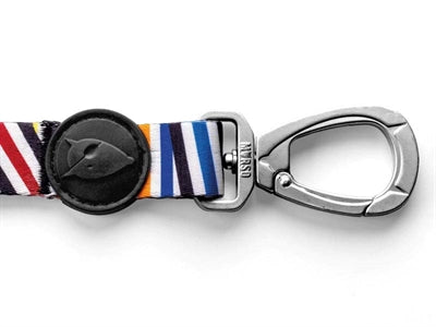 Incidente di spaghetti riciclato del guinzaglio del cane moro