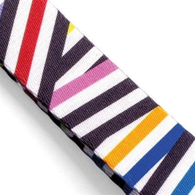 Morso кучешки каишки рециклирани спагети инцидент