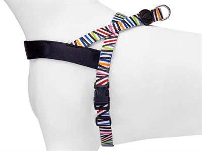 Teagmhas Spaghetti Athchúrsáilte Madraí na hIorua Morso Ioruach