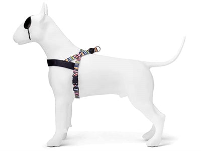 Morso Norwegian Dog Larness Recycled Spaghetti инцидент