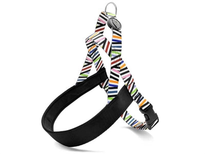 Morso Norwegian Dog Larness Recycled Spaghetti инцидент