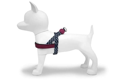 Morso Norwegian dog harness recycled power flow black