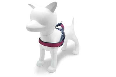 Morso Norwegian dog harness recycled power flow black