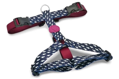 Morso Dog Harness h-valjaat kierrätettyä virtaa musta