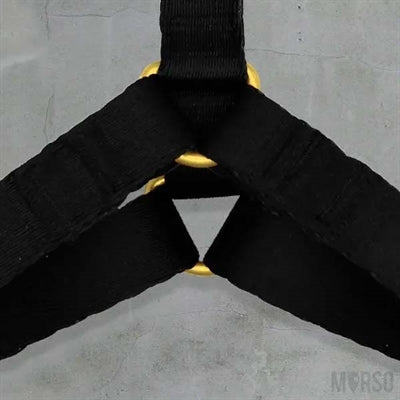 Úim mhadra morso h-harness athchúrsáil ór caviar ór