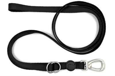 Pureness athchúrsáilte inchoigeartaithe inchoigeartaithe do mhadra morso madraí