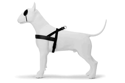 Morso Norwegian dog harness recycled pureness black