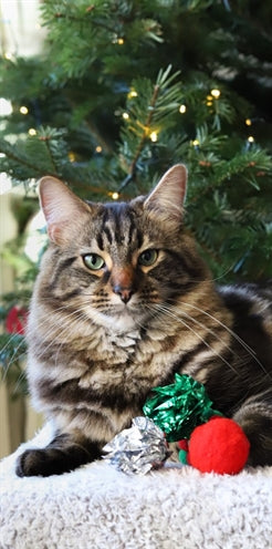 Amor-Komet-Weihnachtsstrumpf mit 5 Kugeln