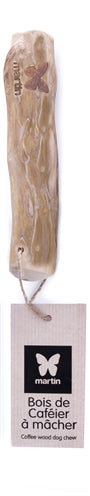 Мартин Дъвчащ корен кафе дърво