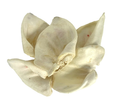 Snack peataí cluasa muc puffed