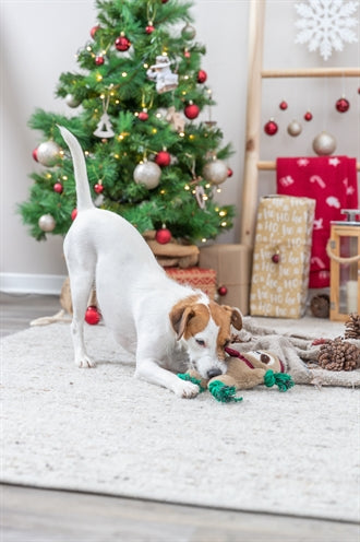 Trixie Xmas sloth plush floss rope