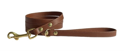 Sazzz pes riem vášeň učení sadedel značka