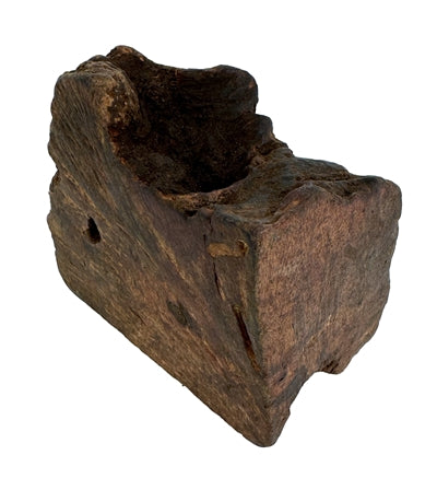 Pies Woodzzz żuj korzeń z oliwą z oliwek