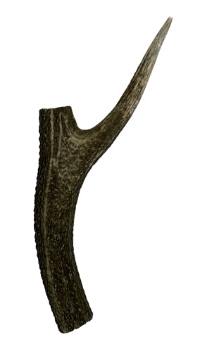 Petsnack jelenie parohy