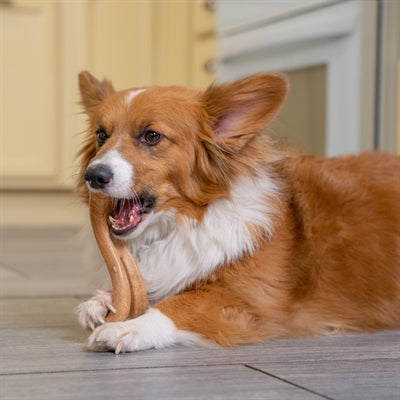 PetStages Dogwood Flip Mole