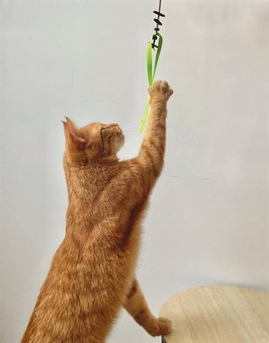 Martin cat toys jason recycled assorted