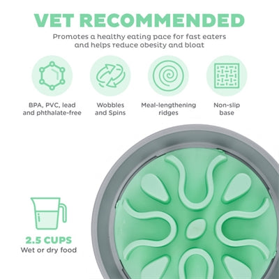 Bol à slo de chiens de chasse vers l'extérieur