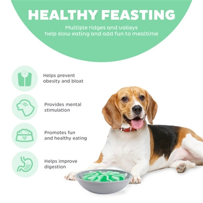 Bol à slo de chiens de chasse vers l'extérieur