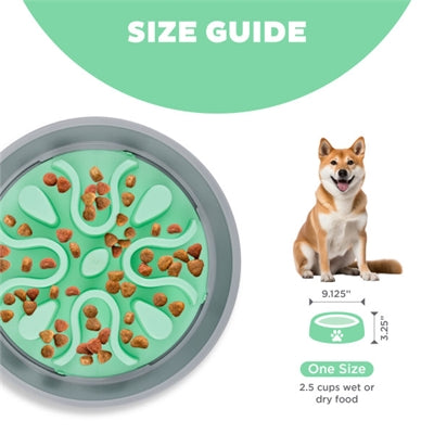 Bol à slo de chiens de chasse vers l'extérieur