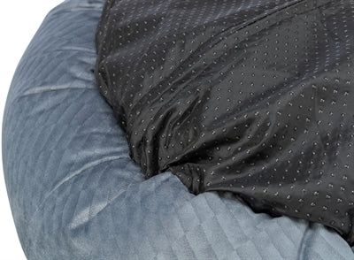 Leaba madra trixie alena bhabhta gorm liath