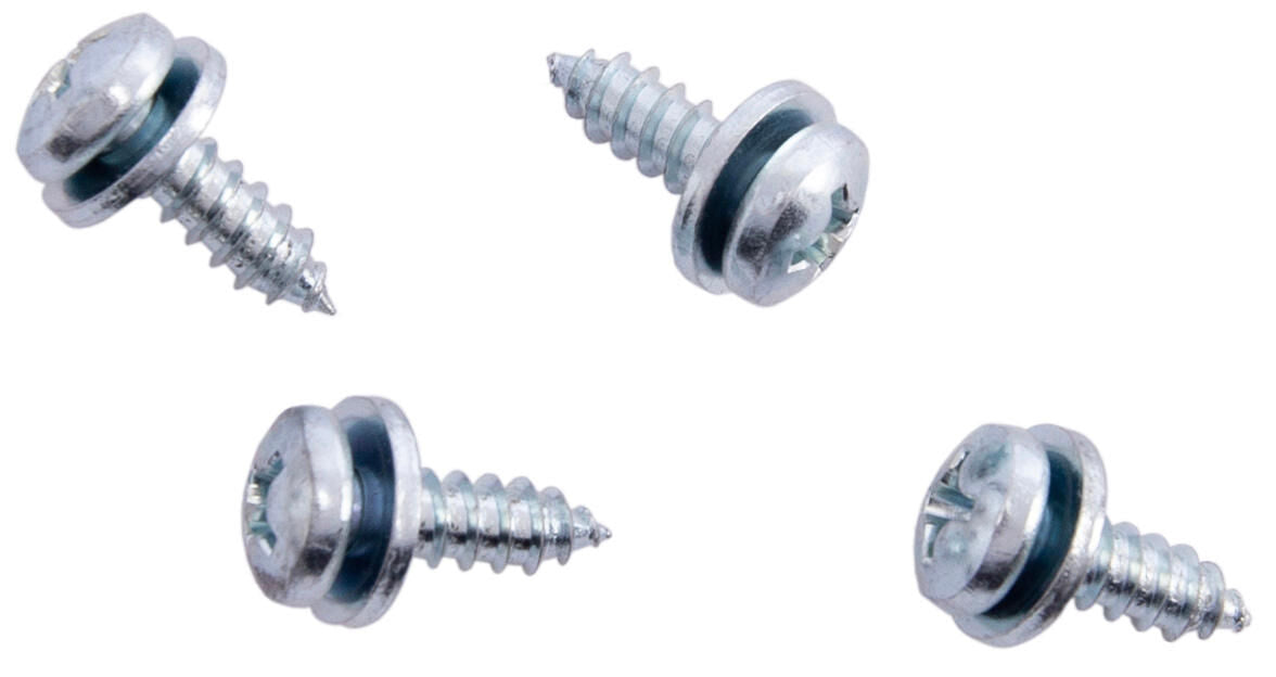 Dresselhaus license plate screw tapping screws 5.5x16 4 pcs. in a bag