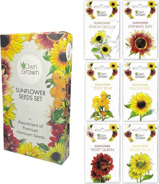 OwnGrown OwnGrown Set di semi di girasole 6 diversi tipi di girasoli Per interni, giardino e balcone Confezione ecologica