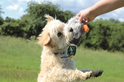 Happy Pet Migrator Plush Duck Wild