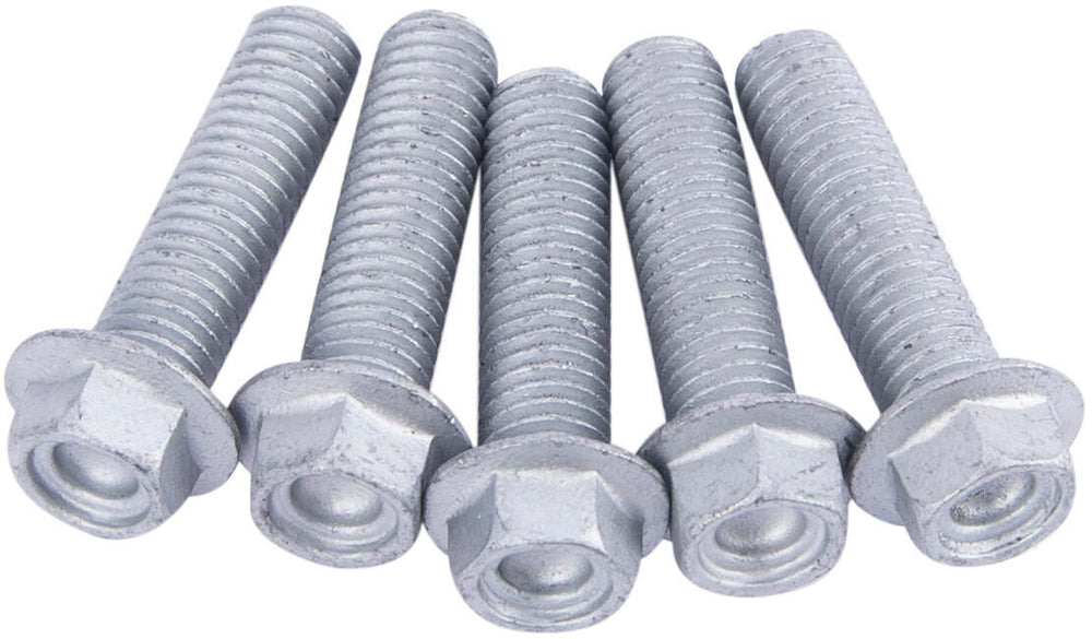 Trw bouten set screw set 5pcs. m8x1,25