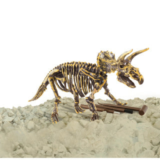 Dino-Basis Dinobase Dino-Schnitzerei Triceratops 3D-Set | 3 Stück