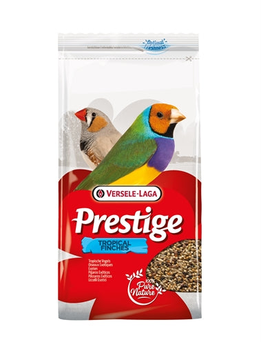 Versele-Laga Prestige Trooppinen lintu