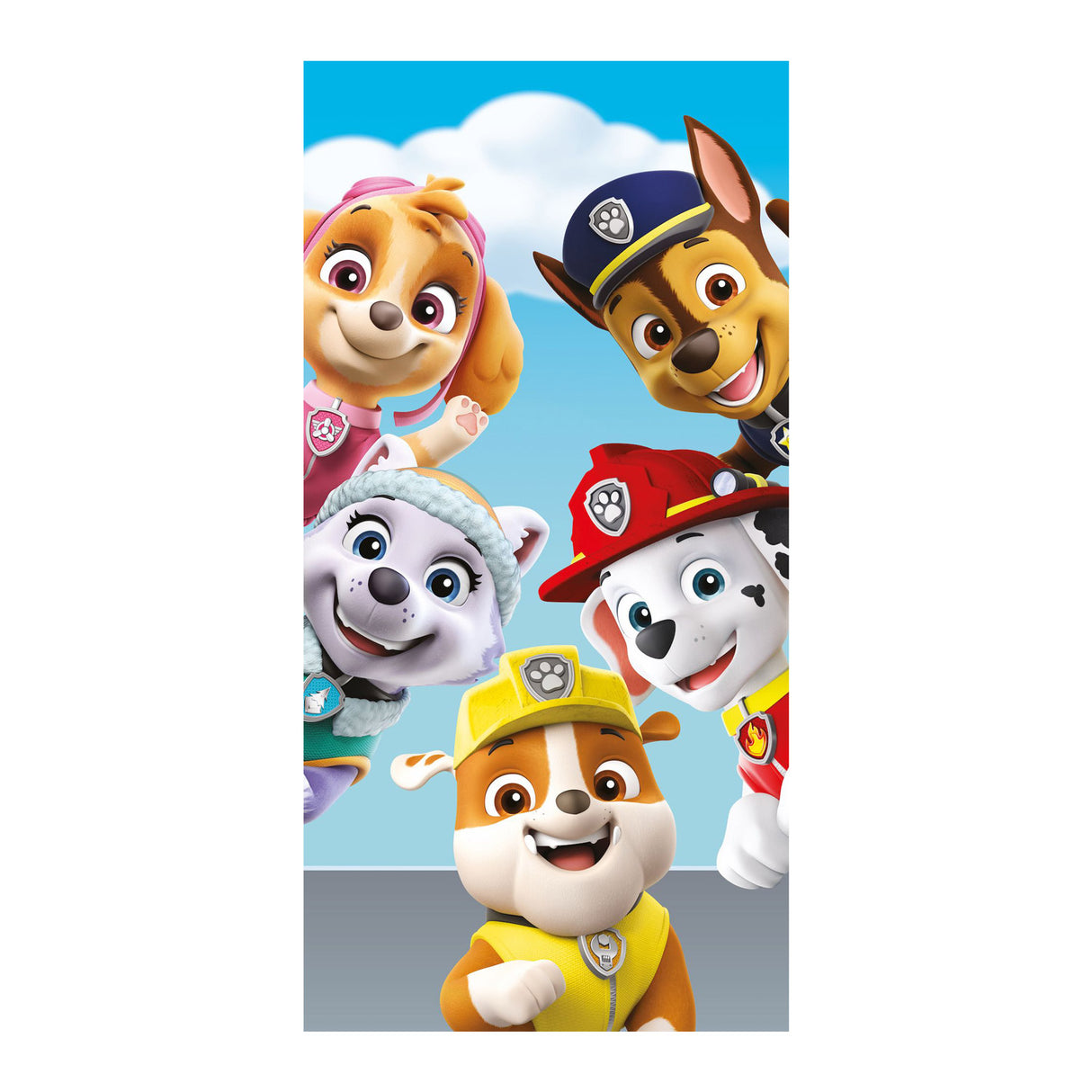 Paw Patrol Beach Handtuch, 70x140 cm