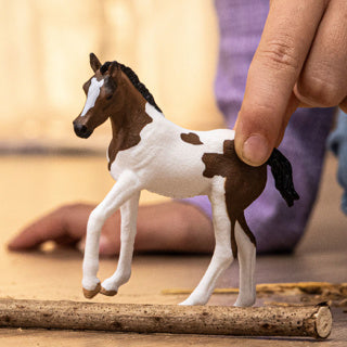 Schleich 14899 paint horse foal | 5 stuks