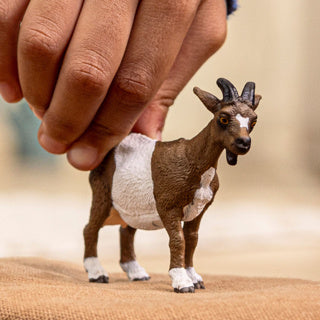 Schleich 14887 goat | 5 stuks