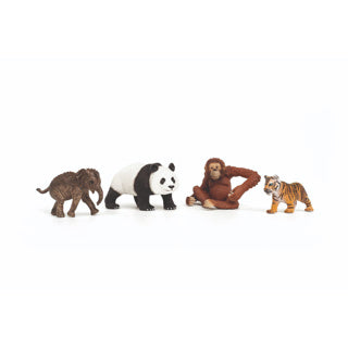Schleich Wild Life Asia starter set
