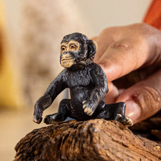 Schleich Wild Life Chimpanseejong 14884