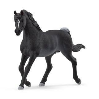 Schleich Horse Club Arabic Engst 13981