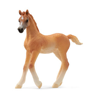 Abi schleich 13984 arsch foal