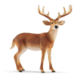 Schleich WILD LIFE Virginia Deer 14818