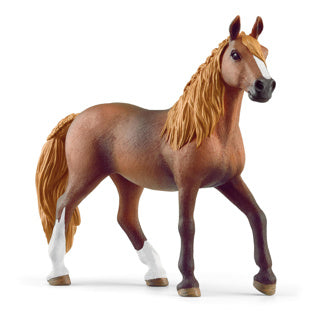 Schleich 13953 Peruvian Pasom mare | 5 броя