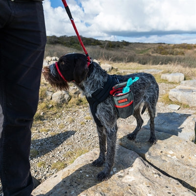 Kong afhentning pose