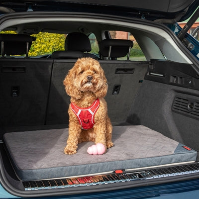 Kong Foldable Travel Mat