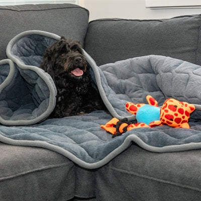 Kong berouegend Wandjannett