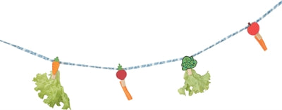 Zolux neolife snack garland muc ghuine gorm