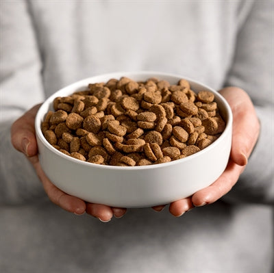 Smolke senior medium chunks