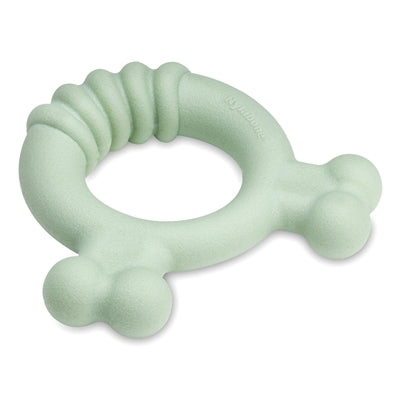 Nylabone Puppy tactile ring chicken flavour