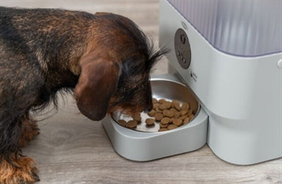 Trixie comedero automático tx-c smart gris claro