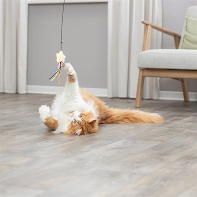 Peluche in plastica di plastica a stella con gatto di trixie con catnip