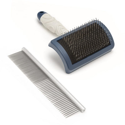 Mikki Doodle grooming kit with comb and slicker brush