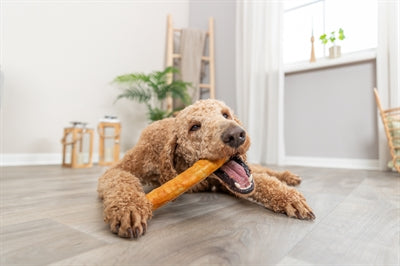 Trixie denta hauska kollageenirulla kanan kanssa